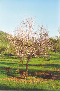 15-98