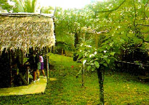 Costa-Rica 1