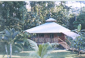 Costa4