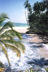 Costa6