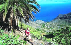 gomera2