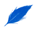 irlandbluefeather
