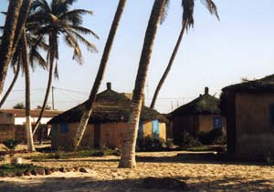 senegal4